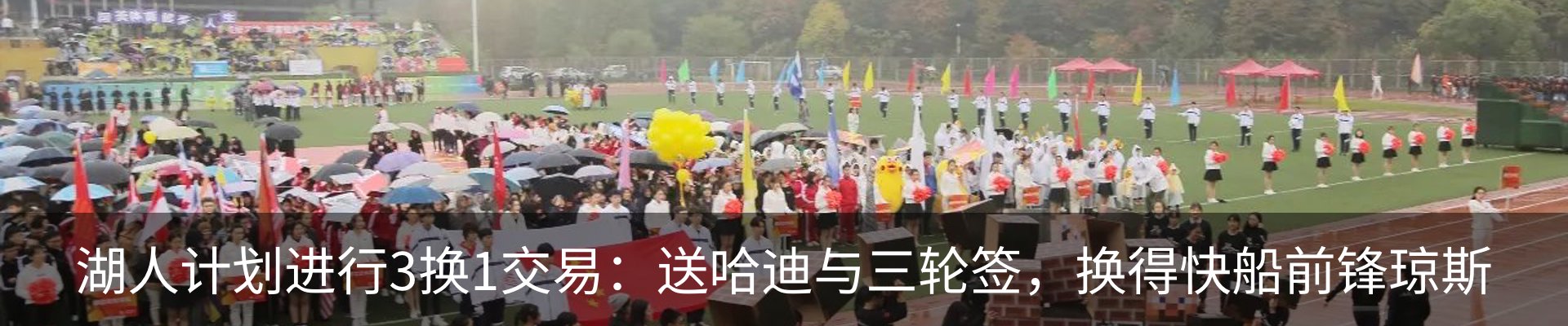 新闻动态